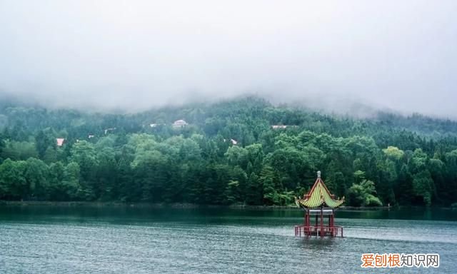 十位诗人十首绝命诗词直达灵魂