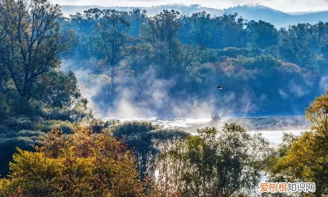 十位诗人十首绝命诗词直达灵魂