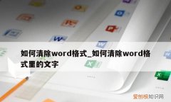 word如何清除格式，word里怎么清除所有格式在哪