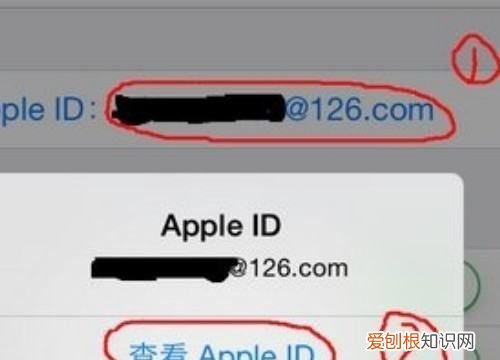 app英文怎么变中文