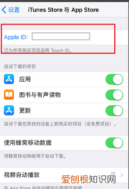 app英文怎么变中文