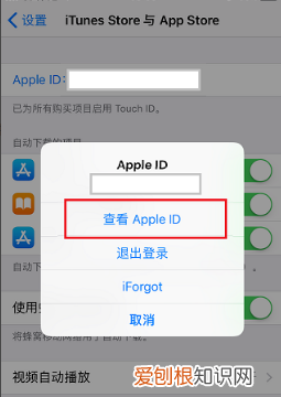 app英文怎么变中文