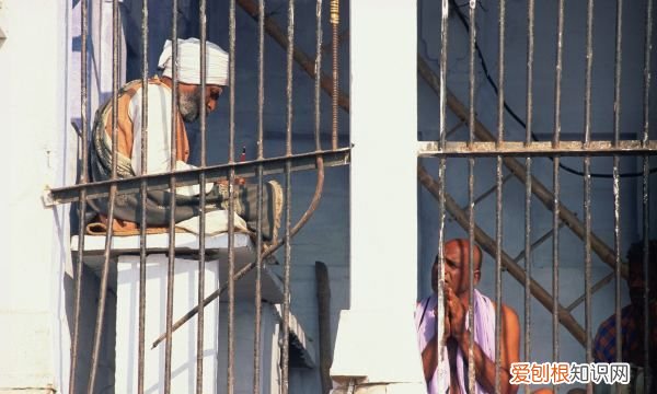 在拘留所怎么可以保释,拘留所怎么能保释出来