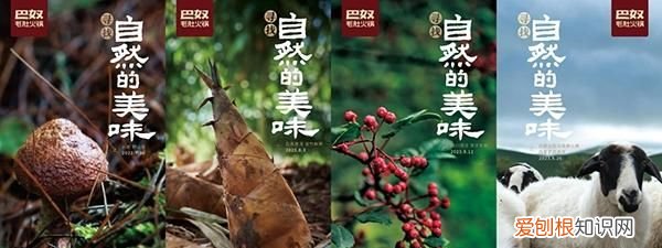 巴奴深入原产地精选好食材,巴奴产品溯源系统