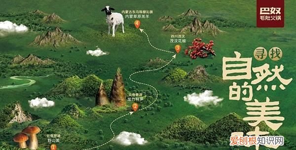 巴奴深入原产地精选好食材,巴奴产品溯源系统