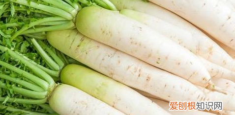 冬天的萝卜是什么意思，夏天吃萝卜有对身体有好处吗