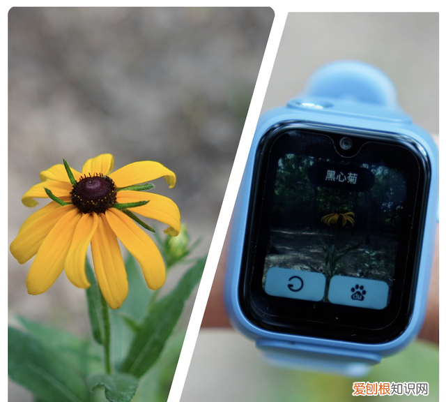 一年级儿童电话手表用哪种好,一年级用哪种儿童电话手表好