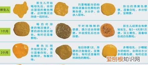 人体大便什么状态正常，人体大便什么样算是正常