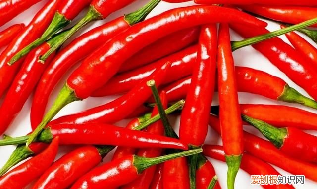 丝瓜叶子有飞虫怎么办 丝瓜叶子有腻虫怎么办