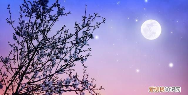 清朝的五言律诗大全关于爱情