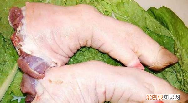 如何分辨猪手和猪脚，猪脚和猪蹄有什么区别