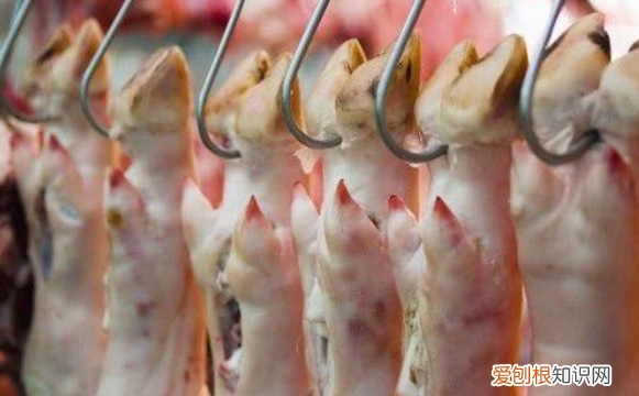 如何分辨猪手和猪脚,猪脚和猪蹄有什么区别