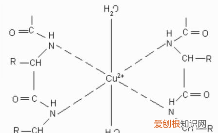 氨根离子是什么结构,亚硫酸根离子的空间结构是什么