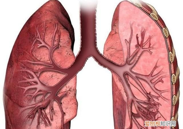 猪血到底健不健康,真相让人大吃一惊!