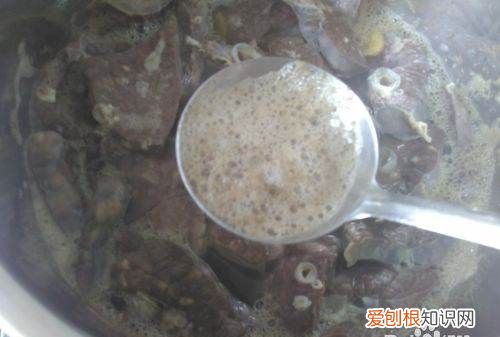 猪肺白萝卜汤的做法与功效，猪肺萝卜汤中的白萝卜怎么处理