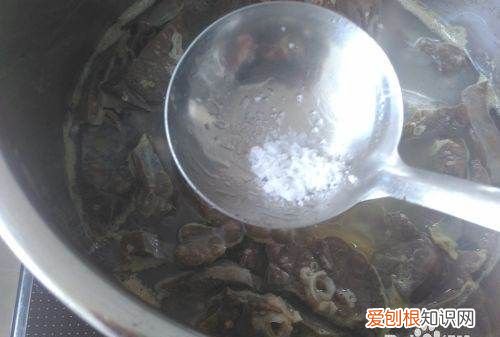 猪肺白萝卜汤的做法与功效，猪肺萝卜汤中的白萝卜怎么处理