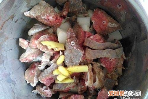 猪肺白萝卜汤的做法与功效，猪肺萝卜汤中的白萝卜怎么处理