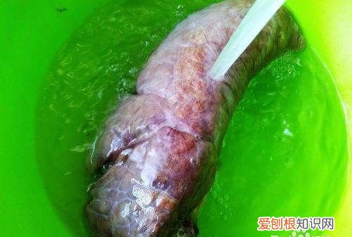 猪肺白萝卜汤的做法与功效，猪肺萝卜汤中的白萝卜怎么处理