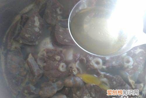 猪肺白萝卜汤的做法与功效，猪肺萝卜汤中的白萝卜怎么处理