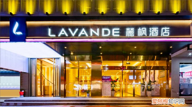 麗枫酒店靠繁体字战胜了麓枫酒店？“丽枫”可能会打败“雨枫”