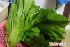 酸菜制作方法，贵州酸菜的做法 最正宗的做法