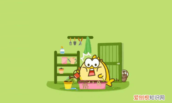 闲鱼自提怎么走程序,闲鱼自提怎么交易快递怎么填