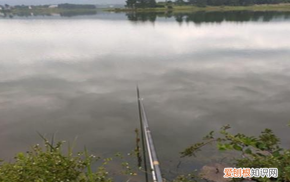 钓鱼怎么挂玉米，鱼钩挂玉米的正确方法