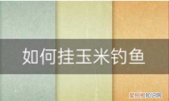 钓鱼怎么挂玉米,鱼钩挂玉米的正确方法