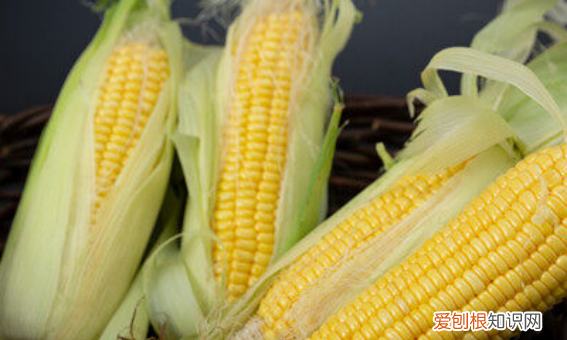 钓鱼怎么挂玉米,鱼钩挂玉米的正确方法