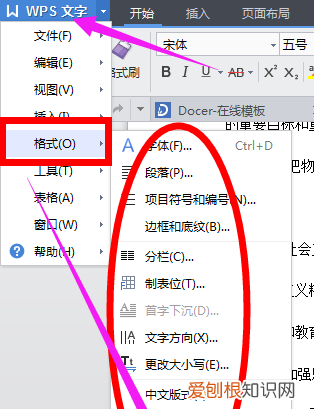 wps表格公式大全及使用,wps文字中如何取消所有的格式