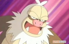 请假王只有一个特性吗，神奇宝贝请假王有超进化