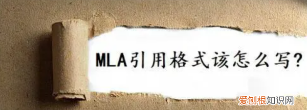 mla格式是什么