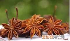 八角有假的吗叫什么名字,真八角和假八角价值差别大么
