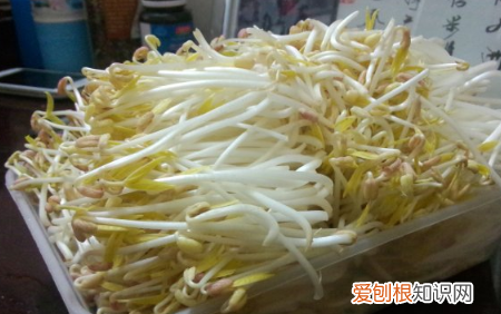 生绿豆芽的方法