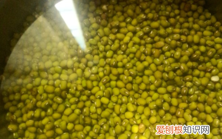 生绿豆芽的方法