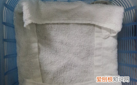 生绿豆芽的方法