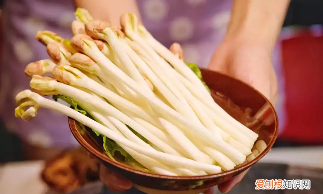 那些发芽了还能吃的食物,囤起来是什么