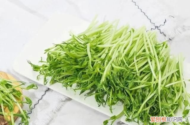 那些发芽了还能吃的食物,囤起来是什么