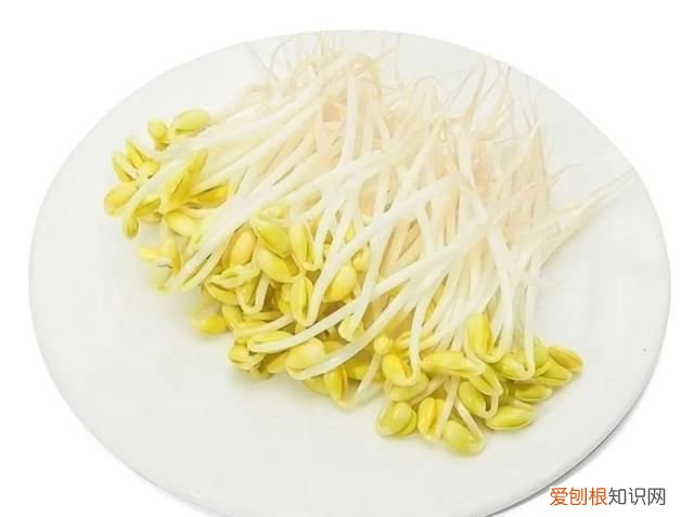 那些发芽了还能吃的食物,囤起来是什么