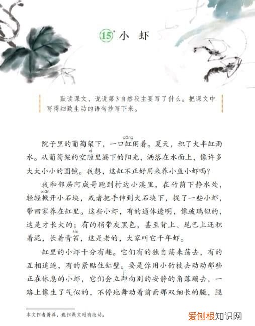 三下第十五课小虾教材解析,三年级第十五课小虾的好句