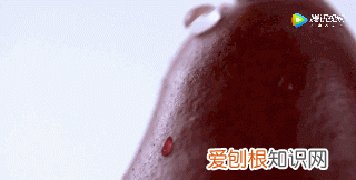 跟梨差不多的苹果是什么苹果