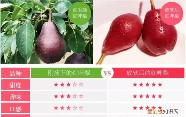跟梨差不多的苹果是什么苹果