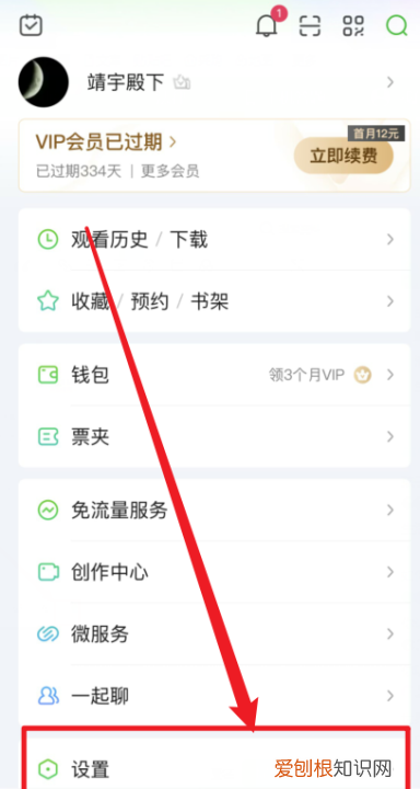 如何查看爱奇艺账号有几个人登录