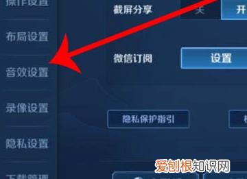王者说话别人听不见是怎么回事，为什么我登录王者荣耀别人就知道