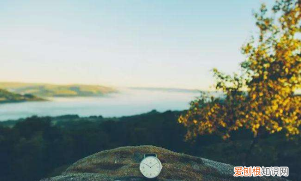 摆摊卖什么赚钱成本又低