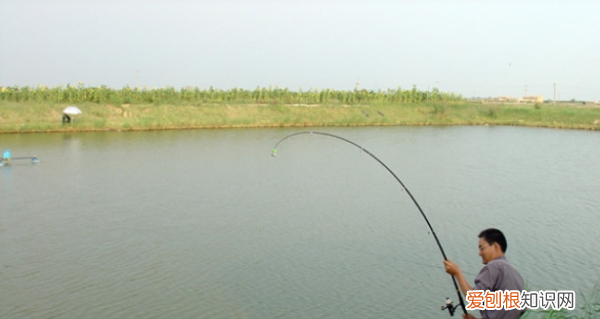 涨洪水怎么钓鱼，北方夏天雨水多冬天天气怎样