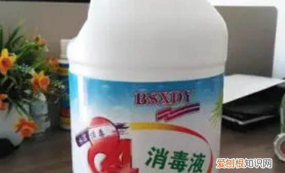 84消毒液有漂白的作用毒，84消毒液可以漂白衣服上的霉点吗