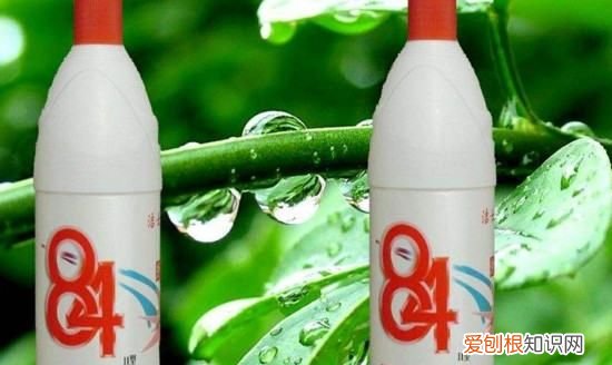 84消毒液有漂白的作用毒，84消毒液可以漂白衣服上的霉点吗