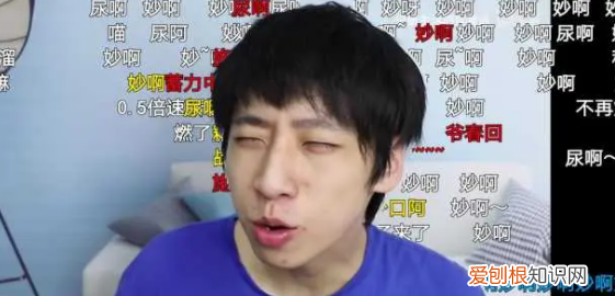 b站up是什么意思，b站up主是什么意思呢