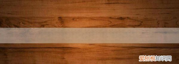 鲥鱼又叫什么鱼，鲥鱼是什么鱼产在哪里?